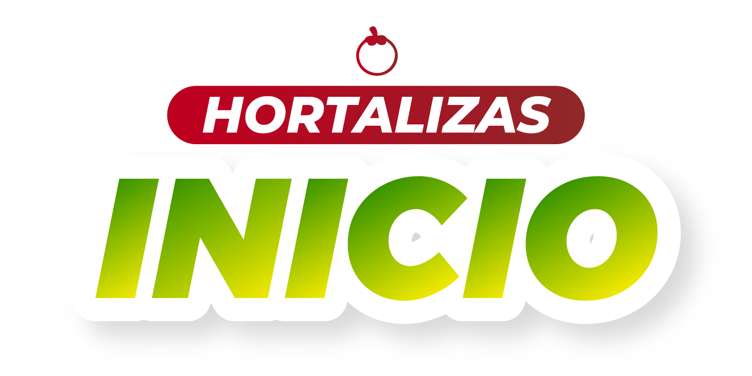 Inicio